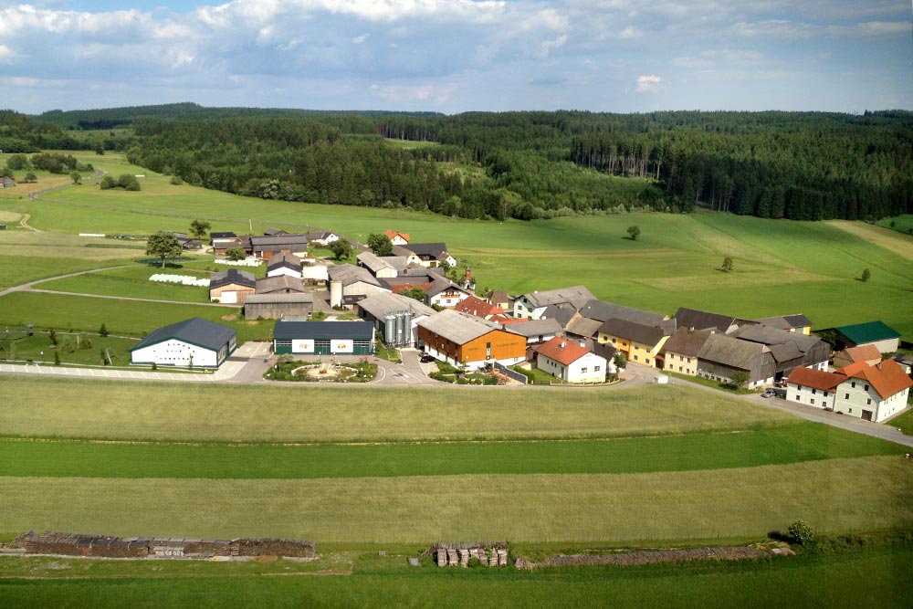 Wachau Rundflug und Whiskey-Erlebniswelt Roggenreith