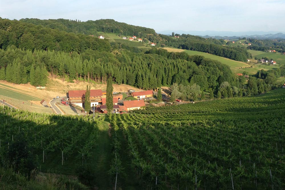 Weingut Georgiberg