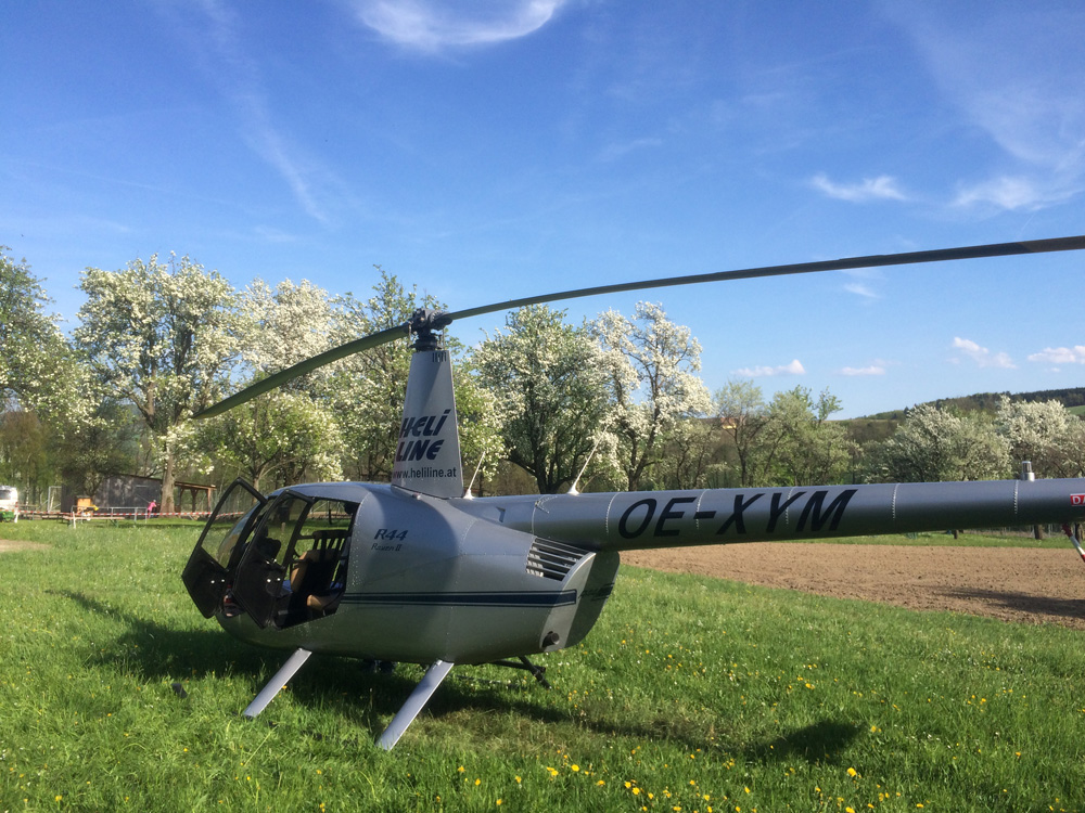 Mostblütenflug