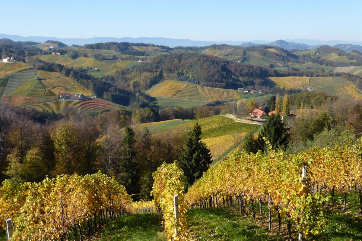 Die Südsteiermark und ihre Weinberge